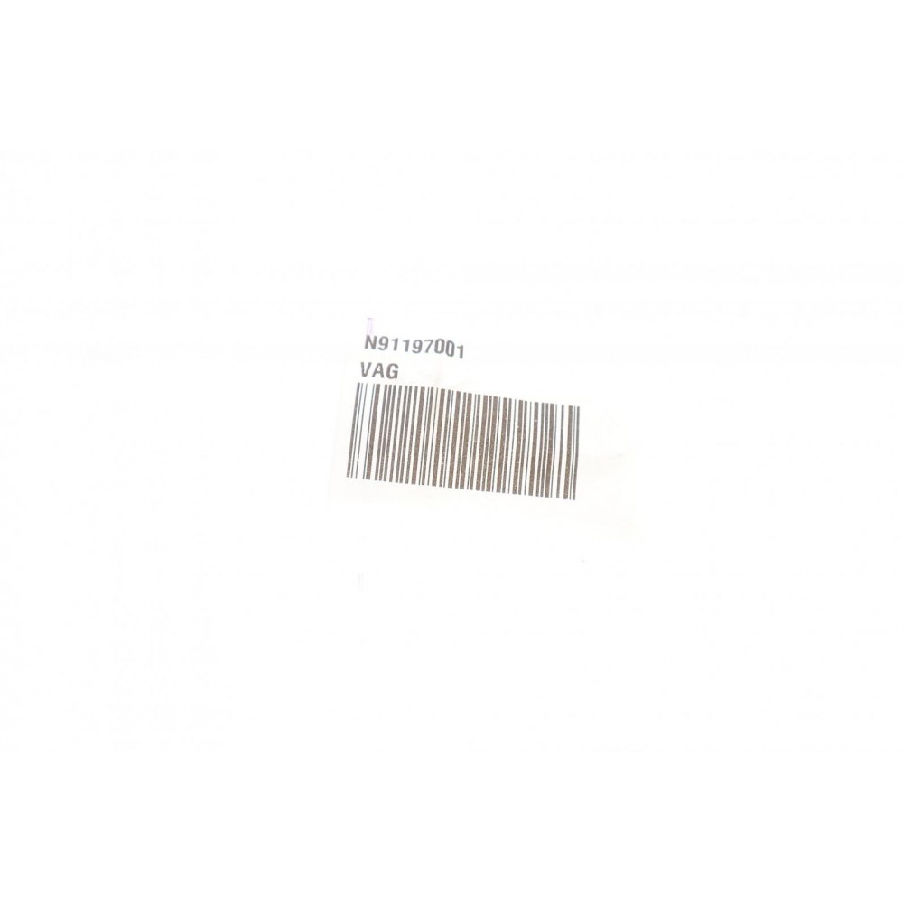 Болт натяжника ланцюга ГРМ Skoda Fabia/Octavia/VW Golf/Passat/Touran 1.4/1.6 03-