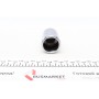 Поршень супорта (заднього) Ford Mondeo V/S-Max/Audi A3 14- (38x53mm) (Ate)