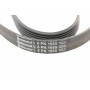 Ремінь генератора VW T5/Amarok 2.0TDI 09-/Ford Focus/Kuga/Galaxy 98-/Opel Astra J/Insignia A 1.6 08-