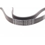 Ремінь генератора VW LT 2.8TDI 97-06/Ford Transit 2.2TDCi 11-14/Citroen Jumper 2.2HDi 11-