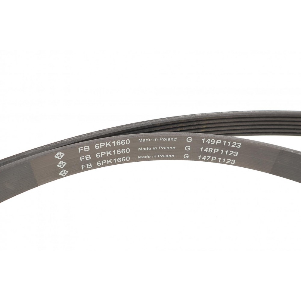 Комплект ременя генератора Audi A3/Skoda Octavia I/VW Golf IV 1.9D 96-10 (6PK1660)