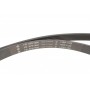 Комплект ременя генератора Audi A3/Skoda Octavia I/VW Golf IV 1.9D 96-10 (6PK1660)
