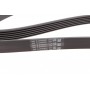 Ремінь генератора VW Golf 1.6FSI 02-06/BMW 3 (E46)/5 (E39/E60) 2.0-3.0 97-10/Ford Focus/Kuga 1.5 14-