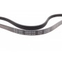 Ремінь генератора Fiat Tipo/Tempra 2.0 90-05/Kia Sephia/Shuma 1.5 96-01/Sorento 3.5 02-