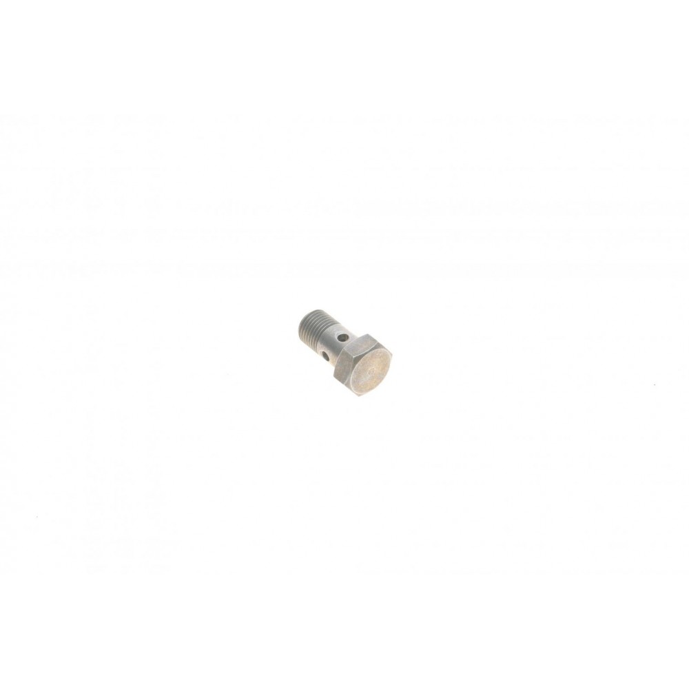 Болт турбіни (M10x1х19mm) BMW 5 (F10/F18)/X5 (F15/F85) 10- N47/B37/M51/M57