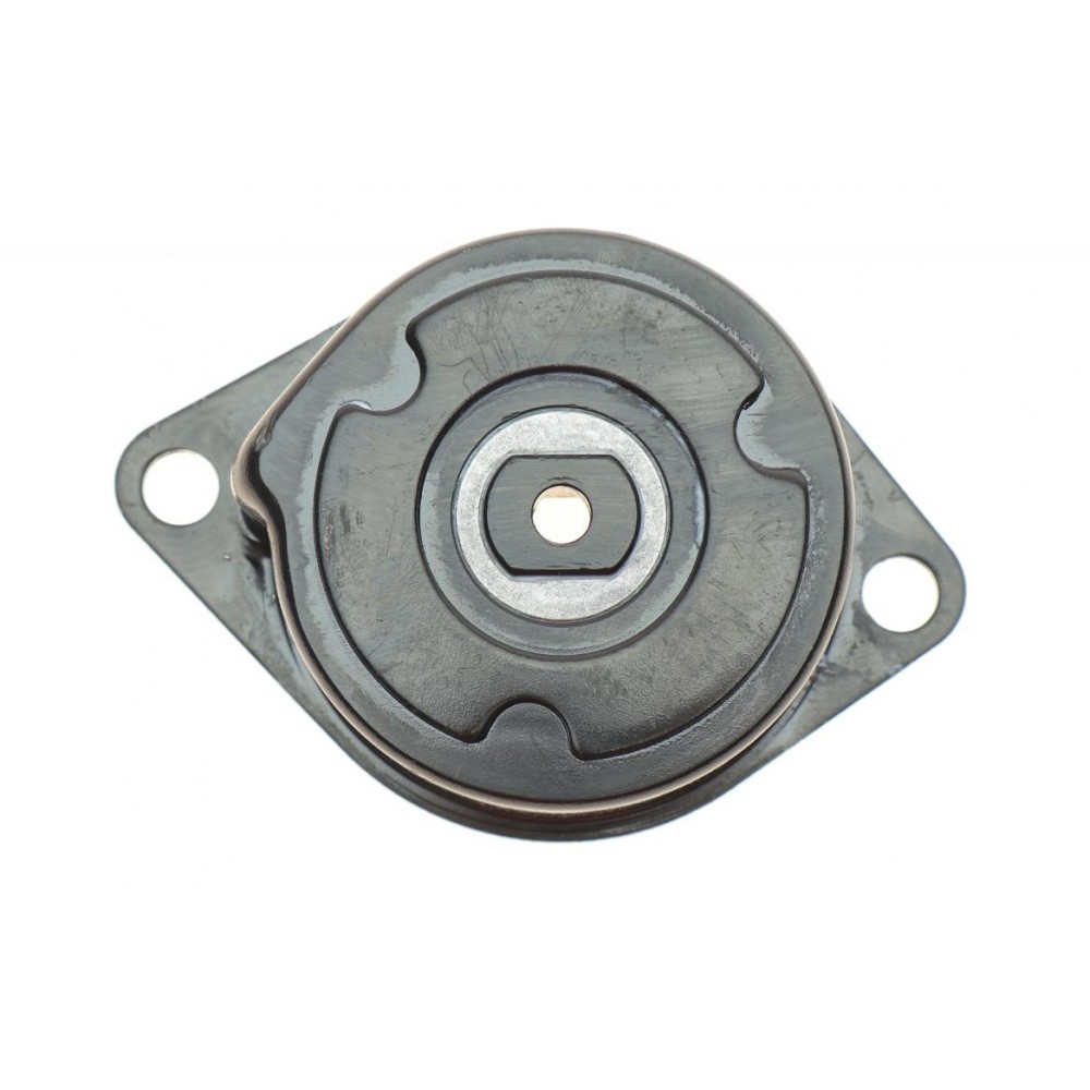 Натяжник ременя генератора VW Caddy II/T4 1.6-2.0 95-