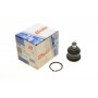 Опора кульова (передня/знизу) Renault Megane II/Scenic 02- (d=16mm)
