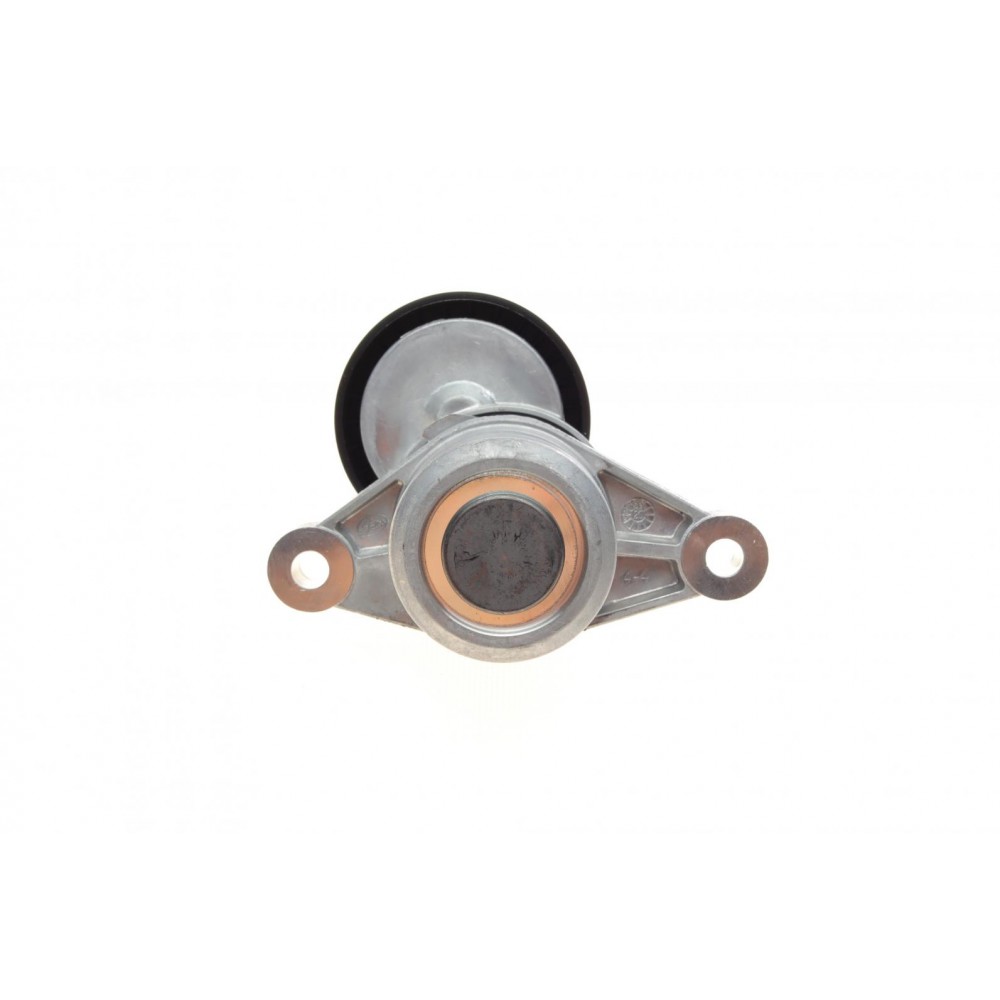 Натяжник ременя генератора Citroen C3 II/C4 1.4-1.6HDi 09-