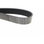 Ремінь генератора BMW 3 (F30/F80)/5 (F10)/ X5 (F15/F85)/ X6 (F16/F86) 13- (8PK1392) (N55)