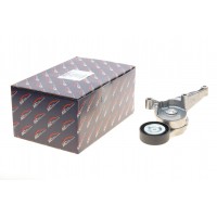 Натяжник ременя генератора VW 1.9/2.0TDI 04-10 (70x24)