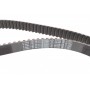 Комплект ГРМ VW T4 1.9D/TD 90-04 (137x25)