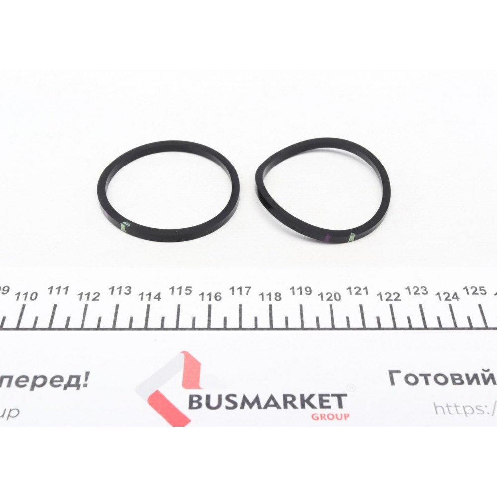 Ремкомплект супорта (заднього) Iveco Daily IV 06-11 (d=48mm) (Brembo)