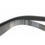 Ремінь генератора Mazda 6 2.0 MZR-CD 07-10/MPV 2.0 DI 02-06 (8PK1230)
