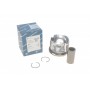 Поршень BMW 1 (E81/E87/F20/F21)/3 E90/F30/F80)/5 (E60/F10)/X5 (F15/F85) 2.0D 04- (84.25mm/+0.25) N47