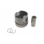 Поршень Citroen C5 III/Peugeot 508 2.2 HDi 10- (85.60mm/+0.60)
