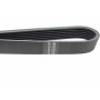 Ремінь генератора VW LT 2.8TDI 96KW/Ford Transit 2.0DI 00-14 (6PK1637)