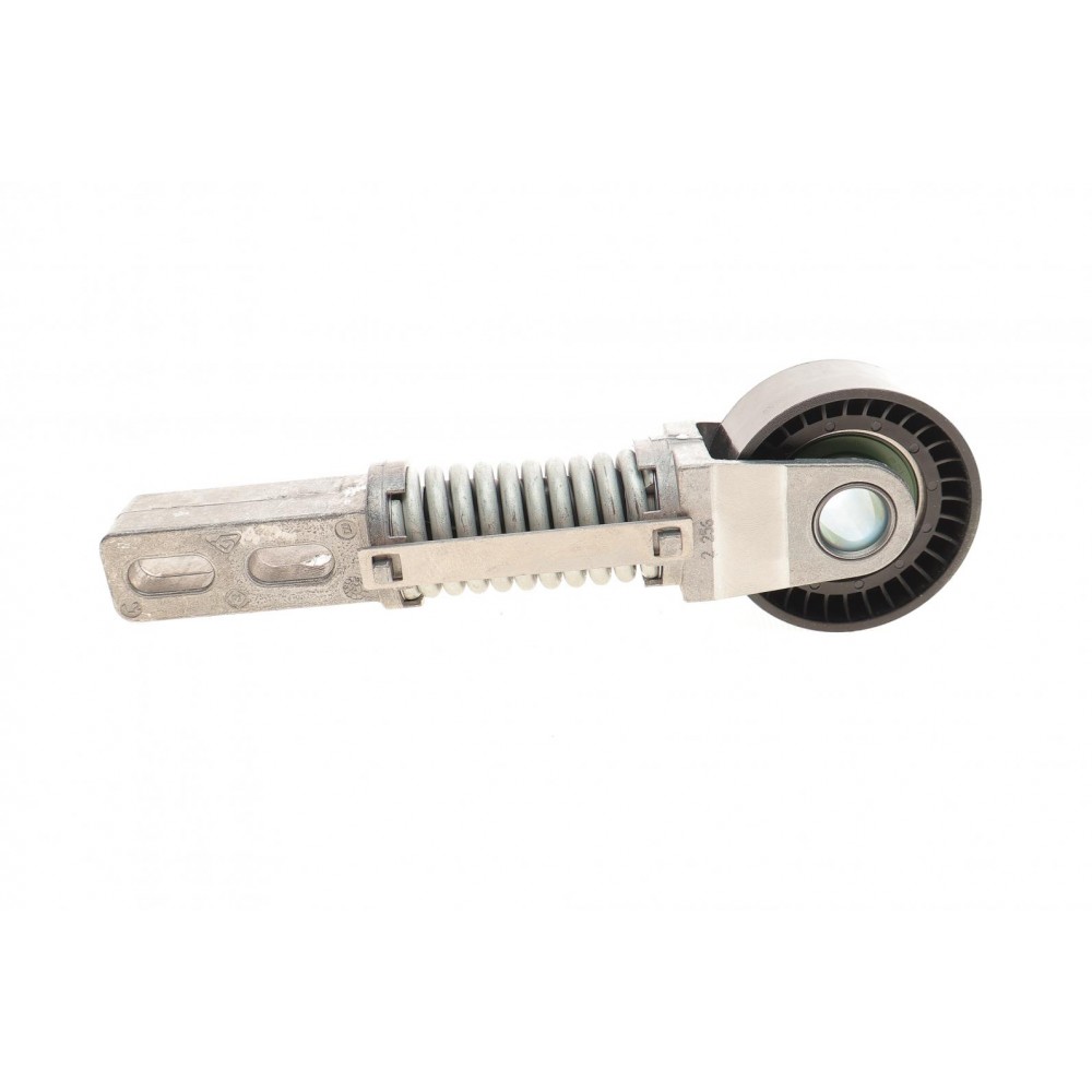 Натяжник ременя генератора Renault Megane/Scenic 1.9 dCi 97-03 (60x25)