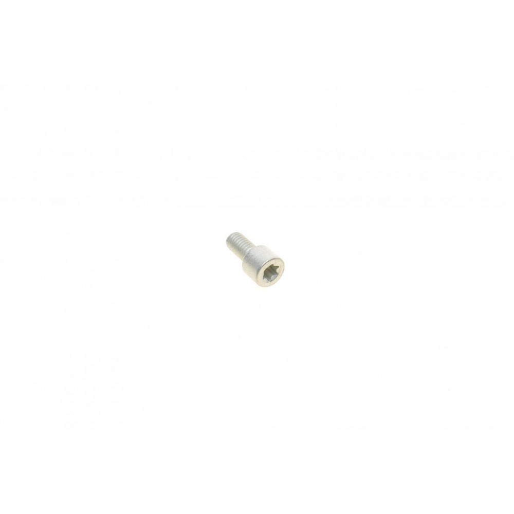 Електродвигун супорта гальмівного (заднього) VW Passat 05-10 (d=34mm)(TRW)