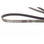 Ремінь генератора Opel Zafira/Astra 1.6/1.8 05-15/Fiat 1.6/1.8 05-/Chevrolet Orlando 1.8 11-