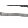Ремінь генератора Toyota Auris/ Yaris 1.33 09-12/Audi 80/A6 1.9TDI 91-07/Nissan Maxima 2.0/3.0 95-00