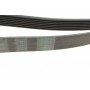 Ремінь генератора Land Rover Discovery/Range Rover 2.5 Td5/3.9-4.6 93-04