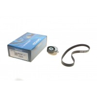 Комплект ременя генератора Fiat Ducato 2.0D 02- (6PK872)