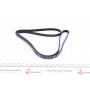 Ремінь генератора Toyota Land Cruiser 100 4.2 TD 98-07 (4PK1720)