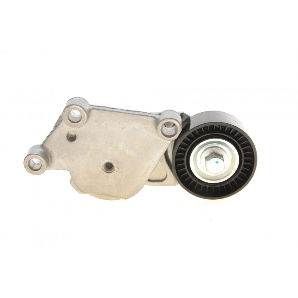 Натяжник ременя генератора Citroen/Peugeot/Ford 1.4HDi/1.6TDCi 01- (65x26)