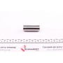 Поршень Renault Kangoo 1.9D 97- (80.51mm/+0,50)