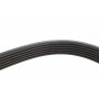 Ремінь генератора Fiat Ducato/Citroen Jumper 1.9D/TD 94-/Renault Trafic 2.5dCI 03- (6PK1153)