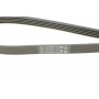 Ремінь генератора VW Touareg 4.2 FSI 06-18/Toyota Avensis/Camry/Corolla 1.8/2.0D 86-03