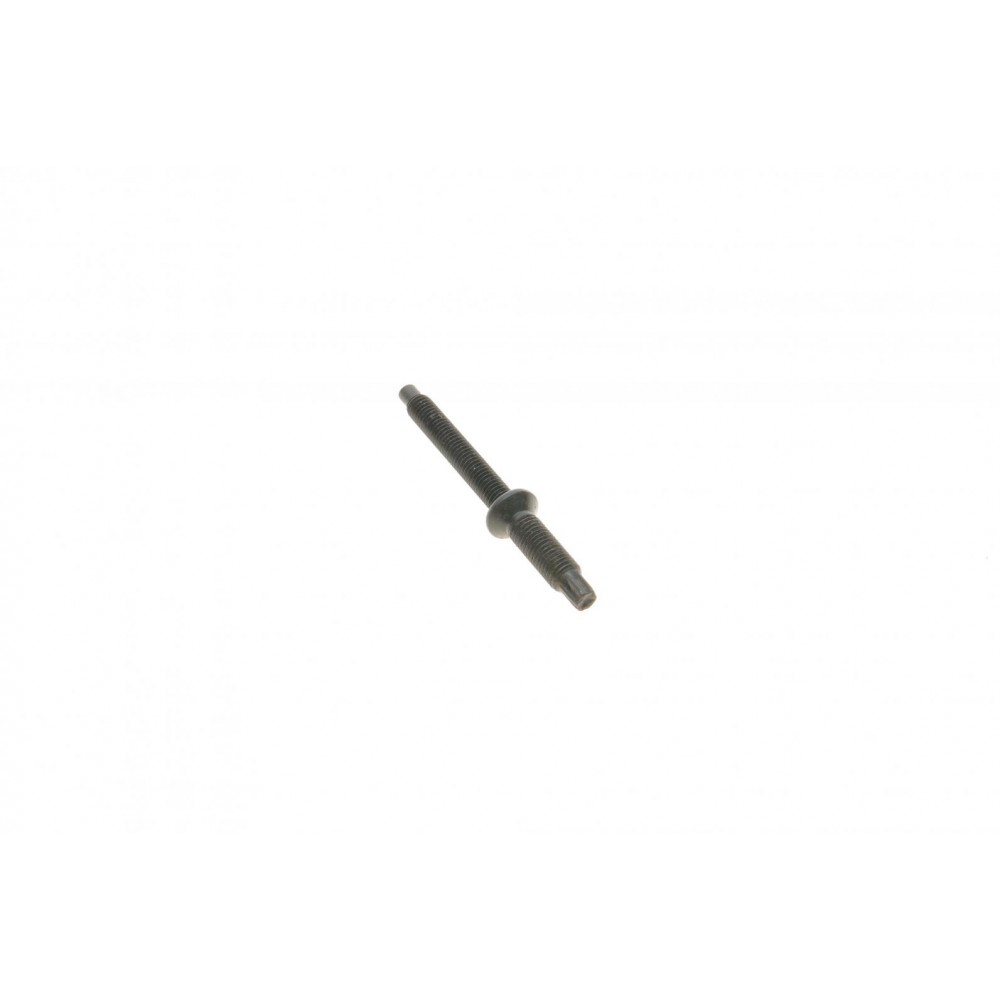 Болт кріплення форсунки Citroen Berlingo/Jumpy/Peugeot Expert/Partner 1.6 HDI 05- (к-кт 2 шт)