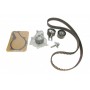 Комплект ГРМ + помпа Citroen Berlingo/Jumpy/Peugeot Partner 1.6HDI/Fiat Scudo 1.6 D 10- (25x141z)