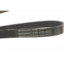 Ремінь генератора Audi A4/A6 1.6-2.0 00-08 (6PK1570)