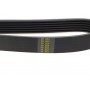 Ремінь генератора Citroen Jumper/Peugeot Boxer 2.0 94- (6PK1094)
