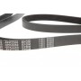 Ремінь генератора MB Sprinter CDI (-AC) (з обводним роликом) (6PK2260)