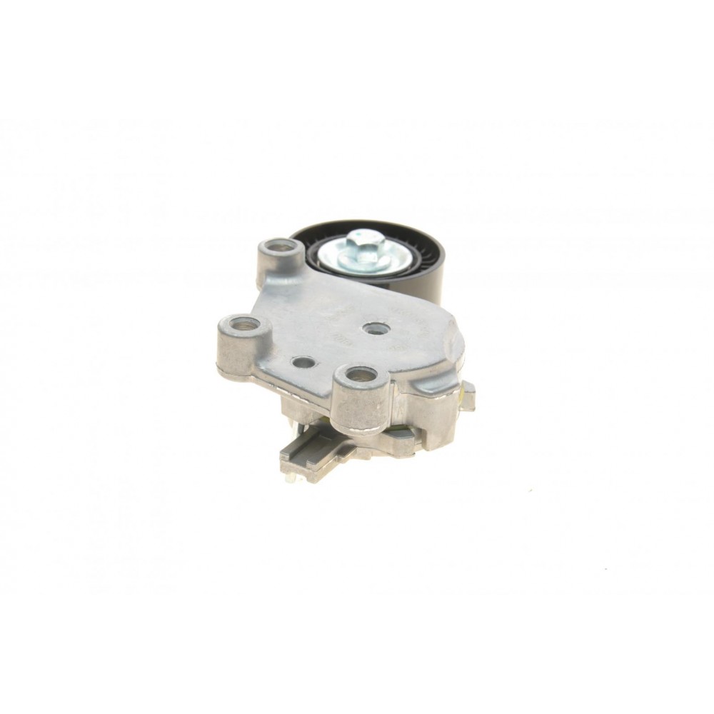 Натяжник ременя генератора Citroen/Peugeot/Ford 1.4HDi/1.6TDCi 01- (65x26)