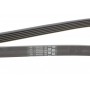 Ремінь генератора MB C-class (W202) 93-01/E-class (W124) 93-98/Ssangyong Korando 96-06/Dodge 06-