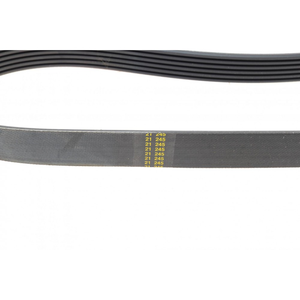 Ремінь генератора Fiat Punto/Stilo 1.9 JTD 99-06 (6PK813)