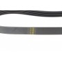 Ремінь генератора Fiat Punto/Stilo 1.9 JTD 99-06 (6PK813)