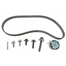 Комплект ГРМ Ford Mondeo/Focus 1.4/1.6i 03-/Volvo C30/S40/V50 1.6 05-12 (22x117z)