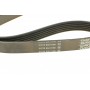 Ремінь генератора BMW M3 (E90/E93) 07-13/ Peugeot 306 1.8-2.0 94-01