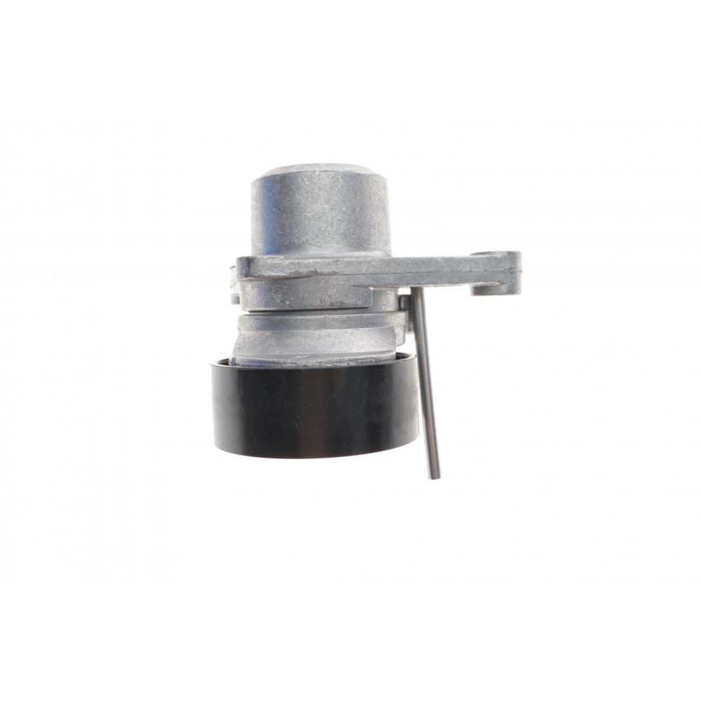 Натяжник ременя генератора Citroen C2/C3/C4/Peugeot 207/307 1.1-1.6 00-
