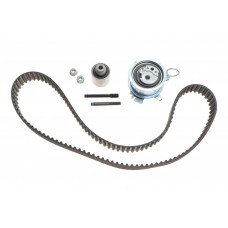 Комплект ГРМ VW Caddy/VW T5 03- (120HTx30)
