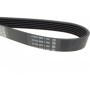 Ремінь генератора VW Caddy 1.9D/SDI -03 (WP,TP)