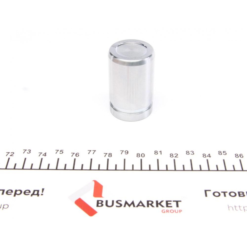 Поршень супорта (заднього) Hyundai Elantra/i20 06- (30.x46.5mm)(Mando)