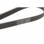 Комплект ременя генератора + помпа Audi A1/A3/Seat Ibiza/Skoda Octavia 1.4/1.6 02-