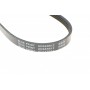 Ремінь генератора Nissan Almera/ Primera/ Sunny 1.4-1.6 84-01/ Hyundai Elantra 1.6 00-06
