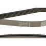 Ремінь генератора Jeep Cherokee/Liberty 2.5/2.8 CRD 01-