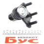 Опора кульова (передня/знизу/R) Audi A1 10-/Seat Ibiza 02-15/Toledo 12-/Skoda Fabia 14-/VW Polo 01-